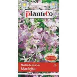 maciejka-jasno-fioletowa-nasiona-pieknie-pachnace-kwiaty-5g-plantico