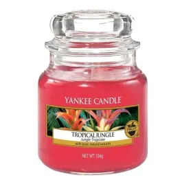 yankee-candle-small-jar-tropical-jungle-104g
