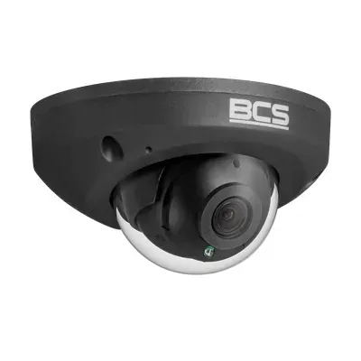 bcs-p-dmip24fsr3-ai2-g