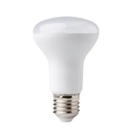 zarowka-led-e27-r63-eco-light-4000k-900lm-10w-barwa-biala-neutralna-grzyb
