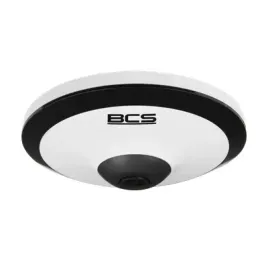 bcs-l-fip25fsr1-ai2