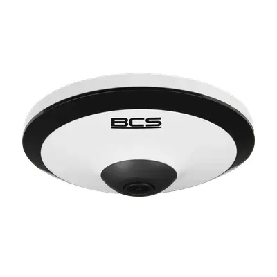 bcs-l-fip25fsr1-ai2