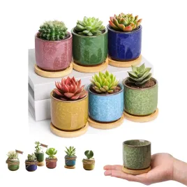 zestaw-6-malych-doniczek-donica-doniczka-ogrodowe-do-domu-kwiaty-kwiatki