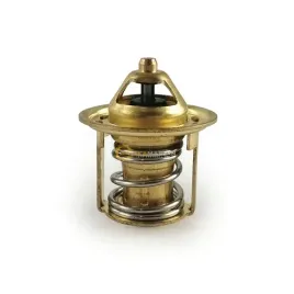 termostat-wody-terex-schaeff-tc15-tc16-tc21-tc20