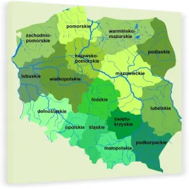 tablica-korkowa-mapa-polski-po-polsku-wojewodztwa-90x90-pinezki-gratis