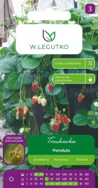 truskawka-pendula-nasiona-001g-zwisajaca-pendula-na-balkony-i-tarasy