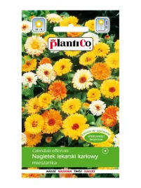 nagietek-lekarski-karlowy-mieszanka-2g-kwiaty-jadalne-rabaty-balkon