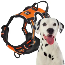 szelki-typu-guard-dla-psa-elite-bezuciskowe-l-lalazoo-orange