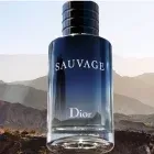 dior-sauvage-edt-100-ml-grupa-zapachowa-fougere