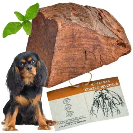 gryzak-dla-psa-korzen-wrzosca-naturalny-twardy-bezpieczny-petmex-xs-do-10kg