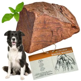 gryzak-dla-psa-korzen-wrzosca-naturalny-twardy-bezpieczny-petmex-s-do-15kg