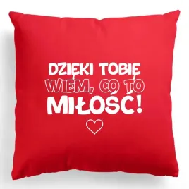 poduszka-40x40cm-dzieki-tobie-wiem-co-to-milosc-walentynki-prezent-wzory