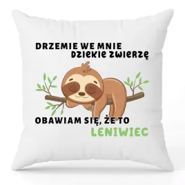 poduszka-jasiek-40x40-cm-biala-wsad-drzemie-we-mnie-leniwiec-zabawne-wzory