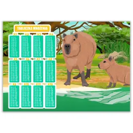 tabliczka-mnozenia-a4-dla-dziewczynki-kapibara-wz