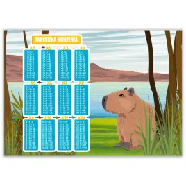 tabliczka-mnozenia-a4-dla-dzieci-kapibara-wzory