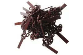 lancuch-21-l-30-mm-wsuwanych-2-osiowy-rozrzutnik