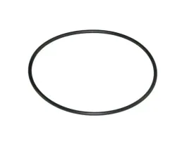 oring-124-2x5-7-sprzedawane-po-20