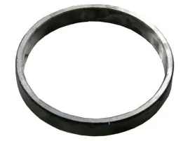 pierscien-przekladni-bezstopniowej-bizon