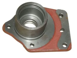 obudowa-lozyska-prawa-bizon