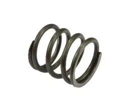 sprezyna-sciskowa-hamulca-recznego-bizon