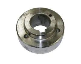 pierscien-kola-pasowego-bizon