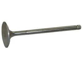 zawor-ssacy-bizon-paradowski