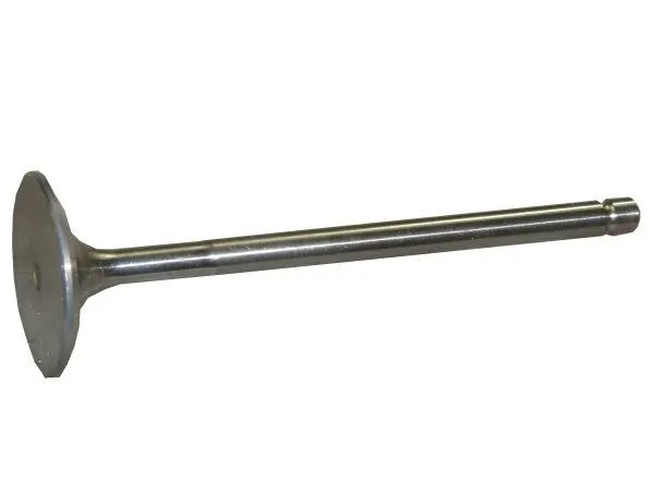 zawor-ssacy-bizon-paradowski