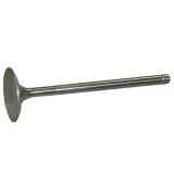 zawor-ssacy-bizon-paradowski-stan-nowy