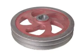 kolo-pasowe-na-slimak-dolny-bizon