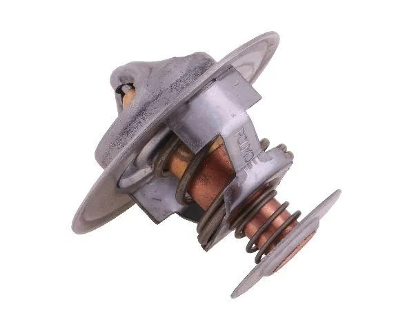 termostat-2830734-case-polmo