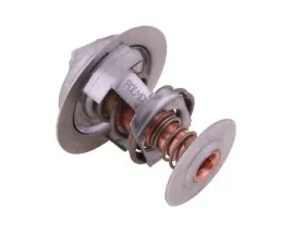 termostat-j928639-steyr-case-polmo