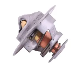 termostat-98463637-case-polmo