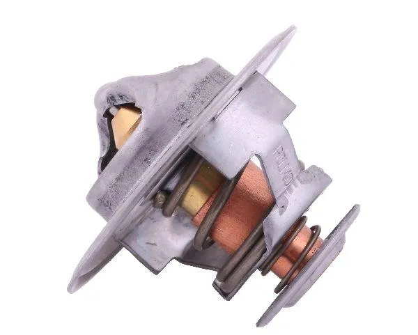 termostat-98463637-case-polmo