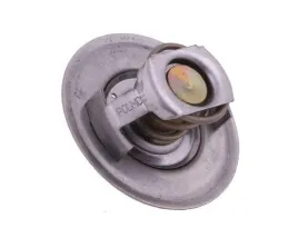 termostat-895311h1-david-brown-case-polmo