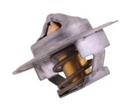 termostat-895311h1-landini-case-polmo