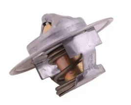 termostat-162000060701-case-polmo