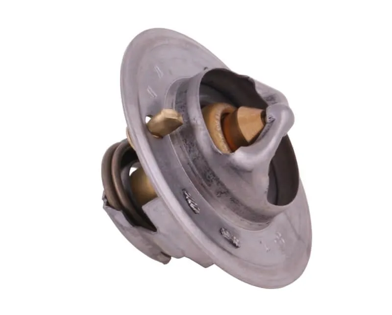 termostat-895311h1-landini-case-polmo