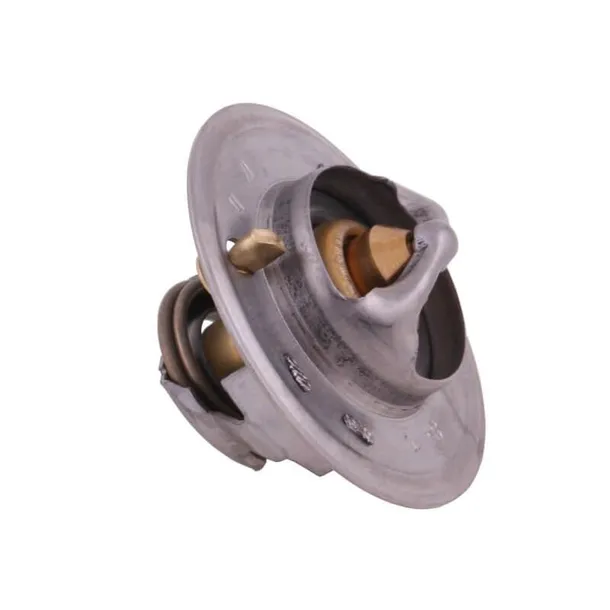 termostat-895311h1-landini-case-polmo-stan-nowy-waga-z-opakowaniem-0-05-kg