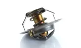 termostat-895311h1-landini-case-polmo-stan-nowy-numer-katalogowy-czesci-895311h1p