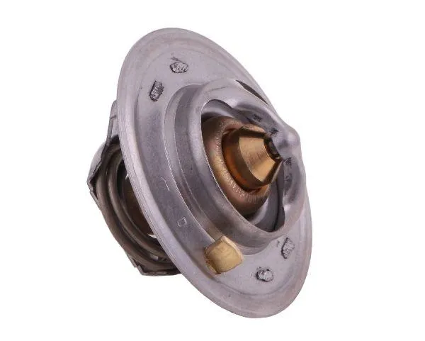 termostat-162000060701-case-polmo
