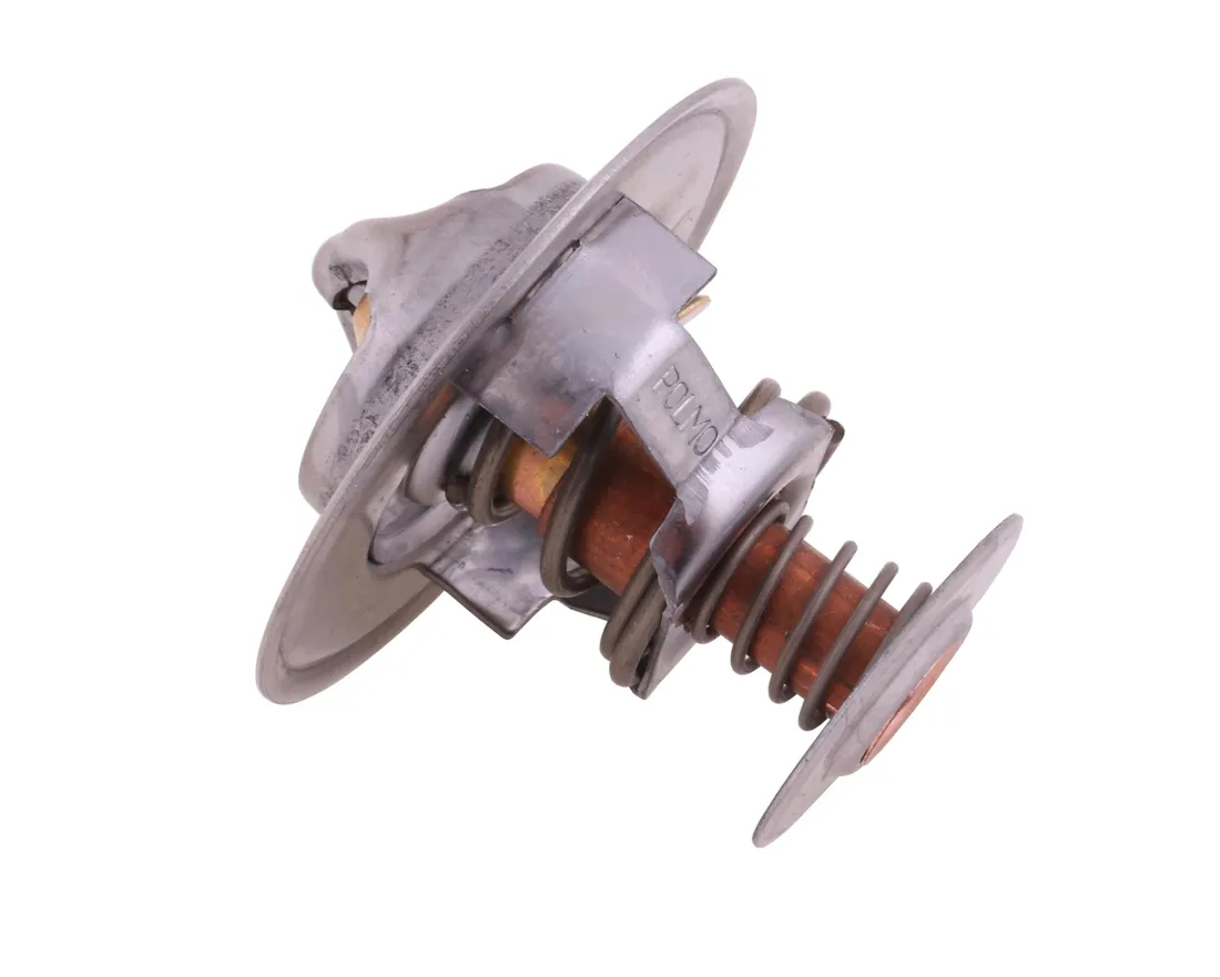 termostat-218039a1-case-polmo