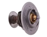 termostat-ar61538-john-deere-polmo-waga-z-opakowaniem-0-1-kg