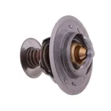 termostat-ar61538-john-deere-polmo-stan-nowy-waga-z-opakowaniem-0-1-kg