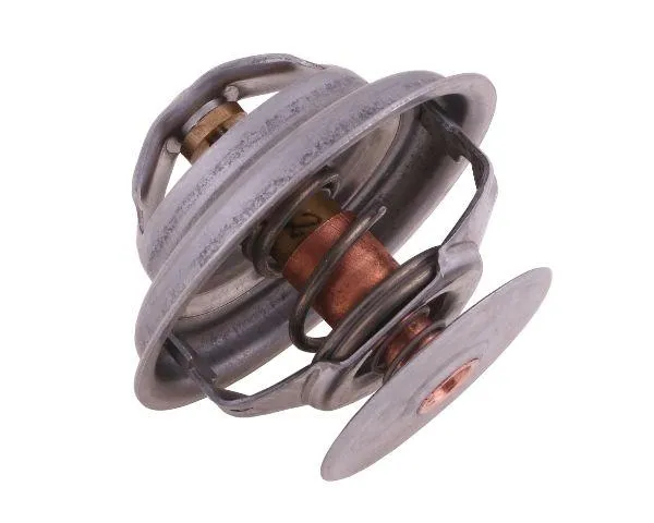 termostat-162000060702-case-polmo
