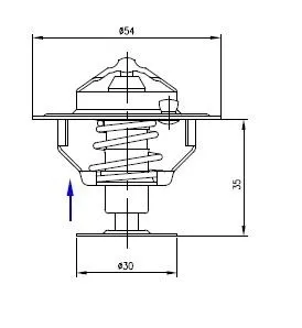 termostat-2485613-landini-polmo