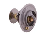 termostat-2485613-landini-polmo-waga-z-opakowaniem-0-1-kg