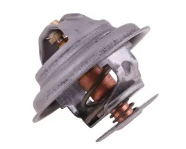 termostat-4224639m1-landini-polmo