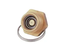 zawor-odwadniajacy-zbiornika-powietrza-1-2-bsp-1664505mp-sprzedawane-po-5