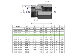 tulejka-roznicowa-hydrauliczna-ab-m14x1-5-08l-gz-x-3-8-bsp-gw-warynski-s