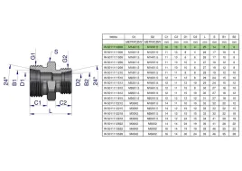 zlaczka-hydrauliczna-redukcyjna-metryczna-bb-m14x1-5-08l-m12x1-5-06l-xg